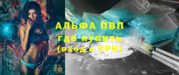 индика Краснотурьинск