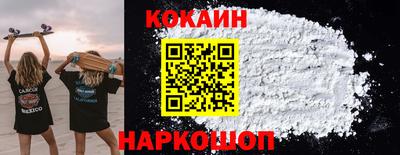 шишки Кандалакша