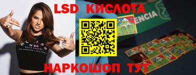 шишки Кандалакша