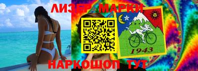 шишки Кандалакша