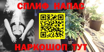 шишки Кандалакша