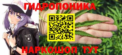 первитин Камышлов