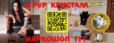 шишки Кандалакша