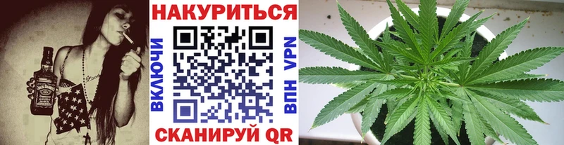 Шишки марихуана планчик  наркошоп  Юрга 