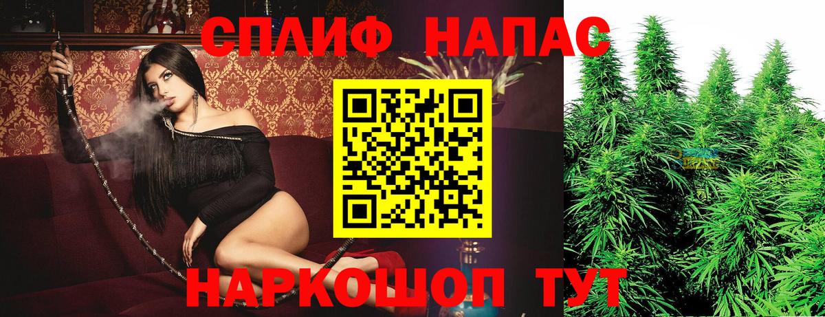 Канабис сатива  Канабис ГИДРОПОН  Юрга  Вход с VPN  Марихуана Ganja  Бошки Шишки Ganja 
